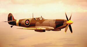 Art Photography Spitfire aircraft in flight (sepia tone), Michael Dunning, (40 x 22.5 cm)