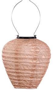 Fallen Fruits Balloon Mosaic Solar Lantern