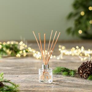 Mulled Wine Diffuser Clear