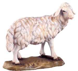 Standing sheep for nativity scene - farm