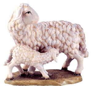 Sheep with Lamb for nativity scene - farm