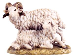 Ram with sheep for nativity scene - farm
