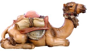 Camel lying down for nativity scene - farm