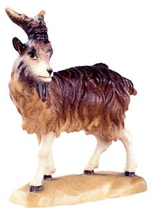 Billy goat standing - classic