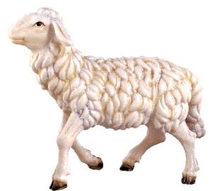 Grazing sheep for nativity - dolomite