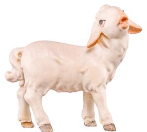 Lamb standing for Nativity scene - Artis