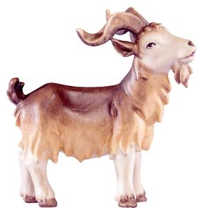 Billy goat for Nativity scene - Artis