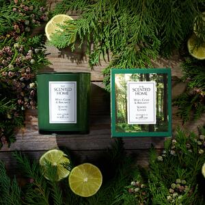 The Scented Home White Cedar and Bergamot Candle Green