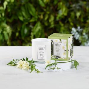 The Scented Home Jasmine and Tuberose Candle White