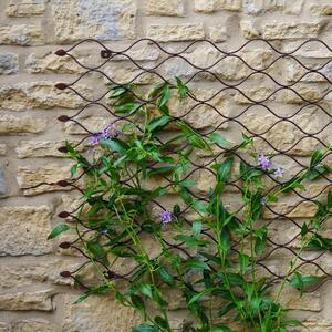 Outdoor Honeycomb Trellis Bronze