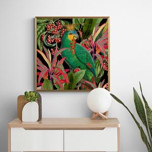 Parrot King II Framed Print Gold