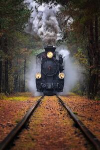 Photography Through the autumn forest, Rafal R. Nebelski