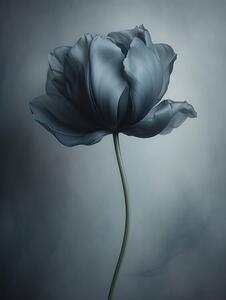 Photography Black Flower 1, Bilge Paksoylu