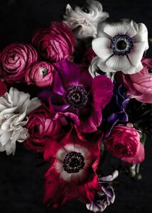 Photography Dark Flowers 1, Mareike Bohmer