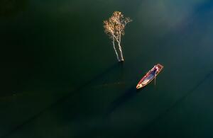 Photography New day in Tuyen Lam lake, Nguyen Tan Tuan