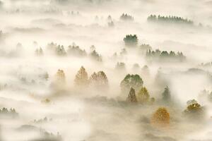 Photography Autumn dream, Roberto Marini