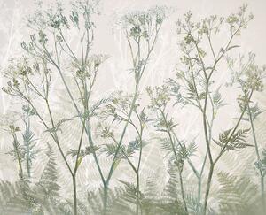 Illustration Cow parsley, Nel Talen, (40 x 35 cm)