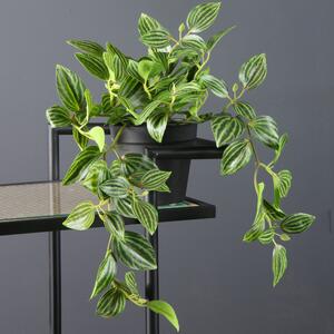 Artificial Green Trailing Plant in Black Plant Pot Green