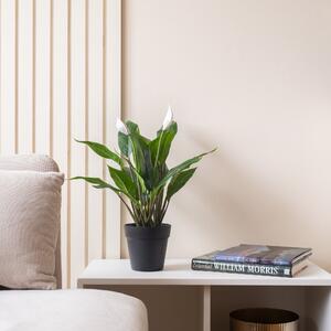 Artificial Peace Lily Plant in Black Plant Pot White
