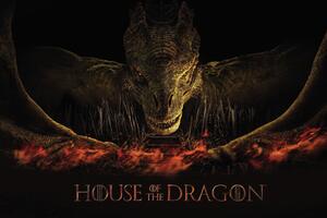 Art Poster House of the Dragon - Dragon's fire, (40 x 26.7 cm)