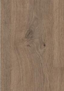 EGGER HOME Murom Oak Nature 8mm Laminate Flooring