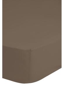 Emotion Non-iron Fitted Sheet 140x200 cm Taupe 0220.86.44