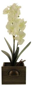 Artificial Double Orchid 50cm Plant