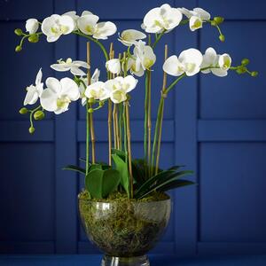 Artificial Grand Phalaenopsis Orchids Centrepiece in Vase