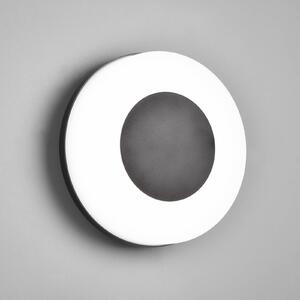 Reality Leuchten Morena LED outdoor wall light with a CCT function