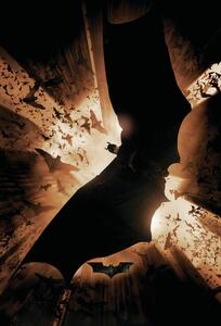 Poster The Dark Knight Trilogy - Bat Wings