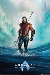 Poster Aquaman and the Lost Kingdom - Tempest, (61 x 91.5 cm)