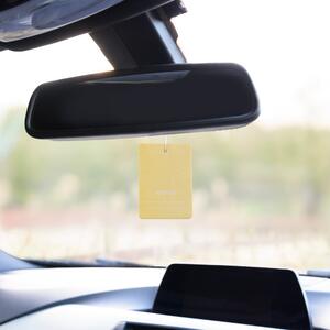 Pack of 2 Car Air Fresheners, Lemon Yellow