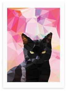 Black Cat Print Pink/Black