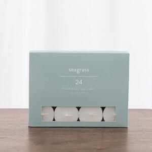 Pack of 24 Seagrass Tealights White