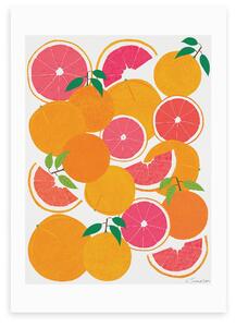 Grapefruit Harvest Print Orange