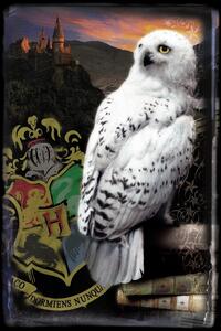 Art Poster Harry Potter - Hedwig, (26.7 x 40 cm)