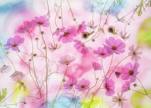 Photography Autumn dream, Miharu, (40 x 30 cm)