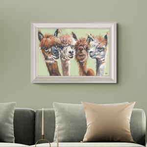 Mop Tops Alpaca Framed Print Brown