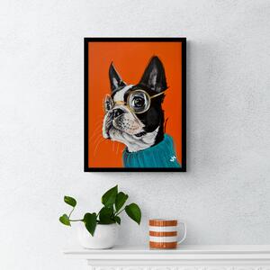 Dexter the Boston Terrier Framed Print MultiColoured