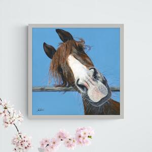 Benson the Horse Framed Print Blue
