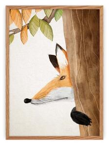 Picture of the Forest Story Fox