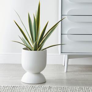 Ceramic White Planter 28cm White