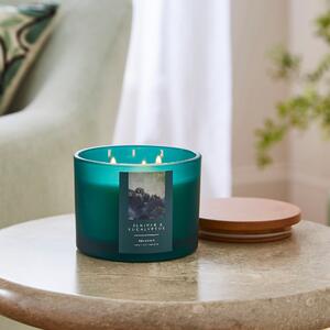 Juniper & Eucalyptus Multi Wick Candle Green