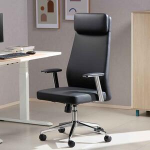 Odenton Faux Leather High-backed Executive Home And Office Chair - Black