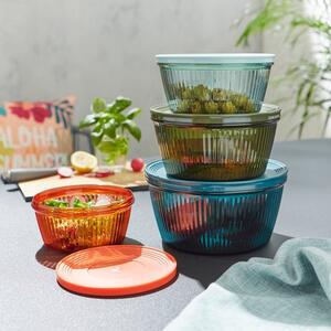 Food Storange Containers with Lids