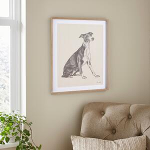 Churchgate Greyhound Framed Print Brown/White