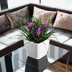 LECHUZA Table Planter QUADRO LS 21 ALL-IN-ONE High-gloss White