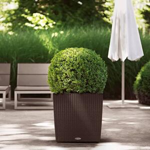 LECHUZA Planter CUBE Cottage 50 ALL-IN-ONE Mocha