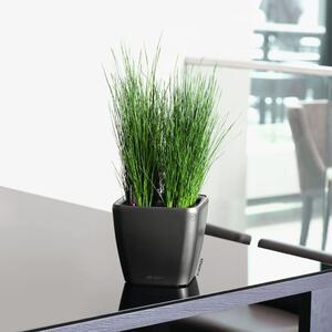 LECHUZA Table Planter QUADRO LS 21 ALL-IN-ONE Charcoal Metallic