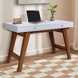Odenton Wooden Laptop Desk With 2 Drawers - Walnut And White